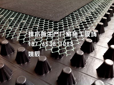 北海排水板 排水板廠家 北海排水板哪家生產 圖片 施工指導 建材欄目