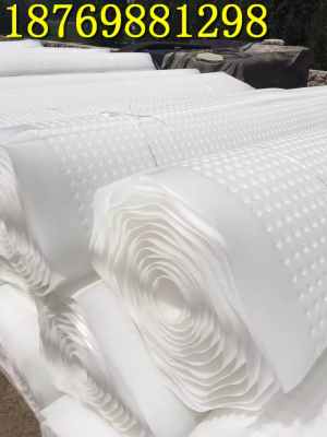 臨夏新聞 2.5公分凹凸型保水排水格片茂名板 歡迎你