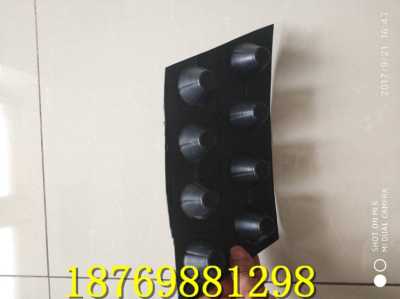 新聞 阿拉善地下車庫排水板集團材料公司深圳 歡迎您